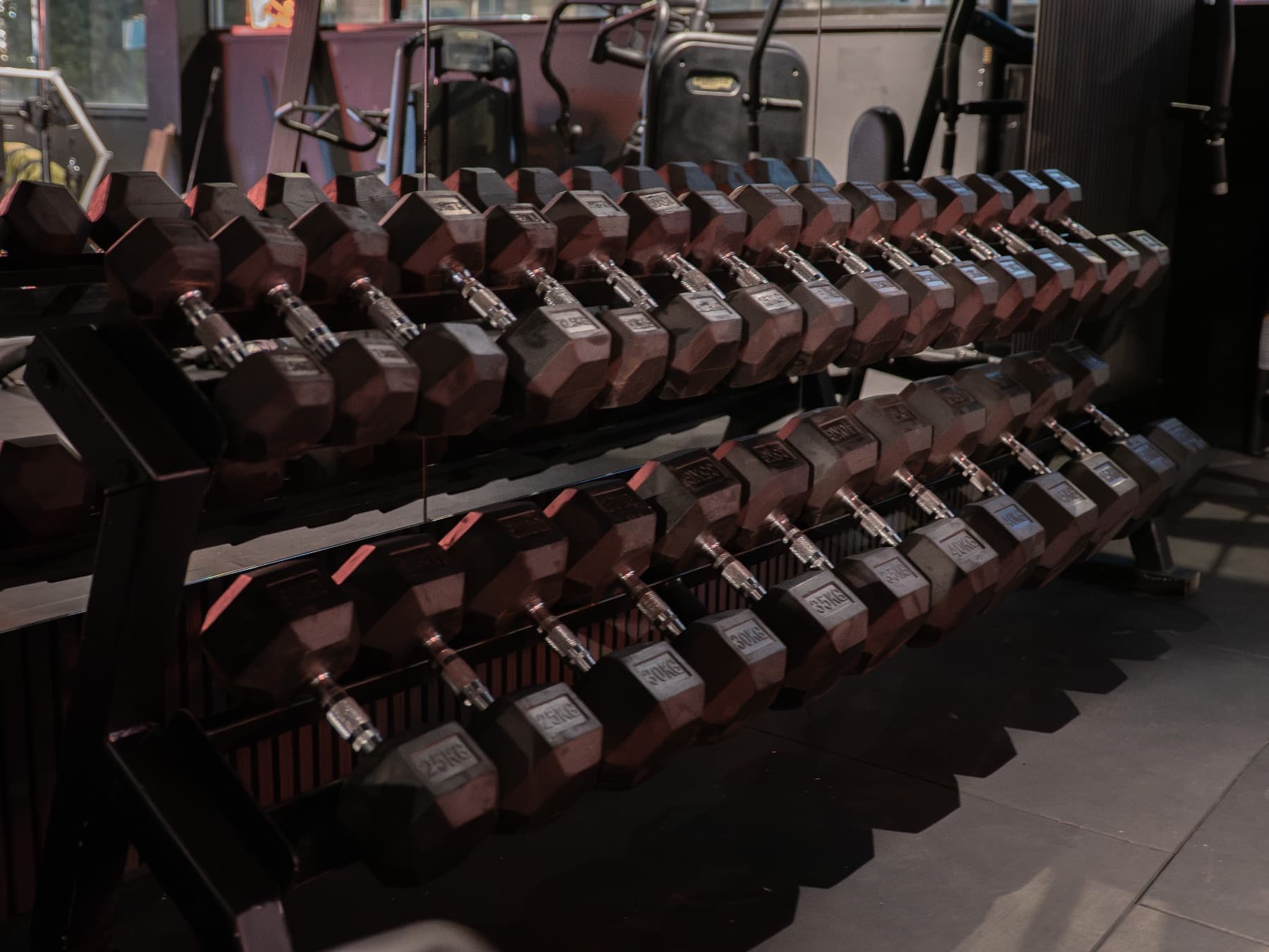 Alpha Gym